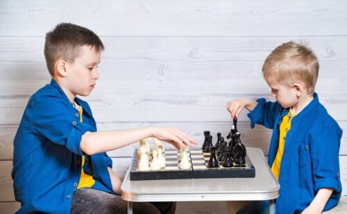 Akıl Zeka Satranç Eğitmenliği Sertifikası