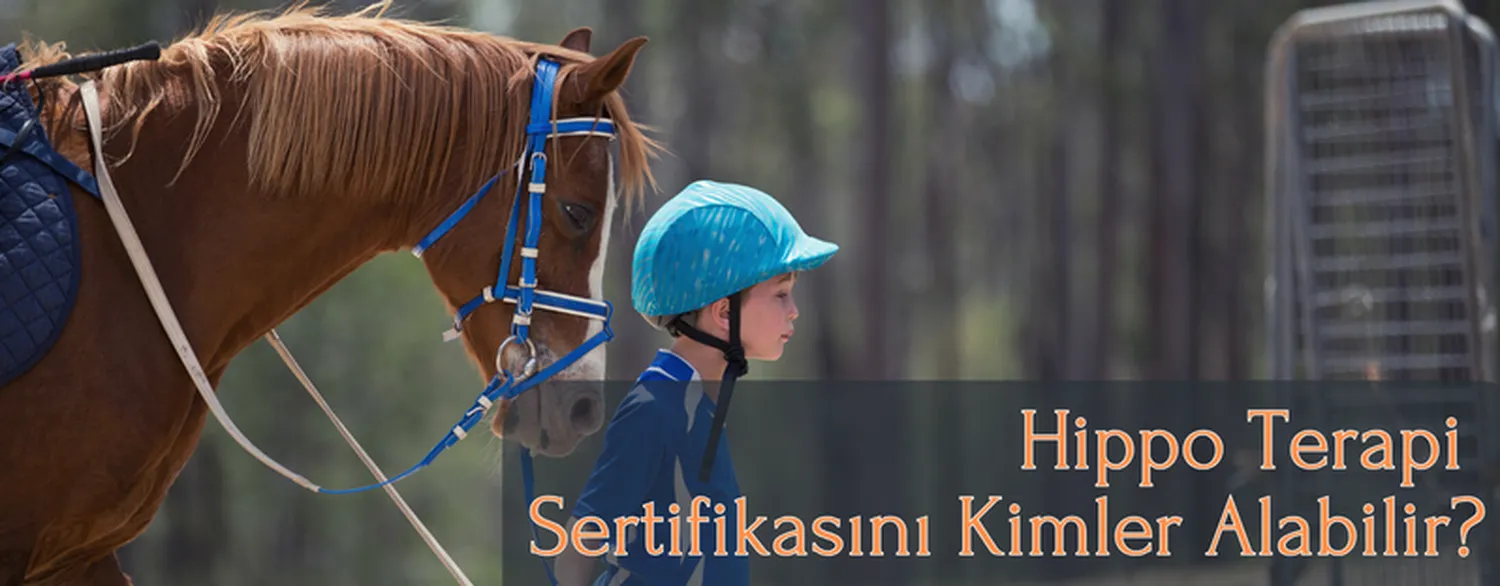 Hippo Terapi Sertifikasını Kimler Alabilir?