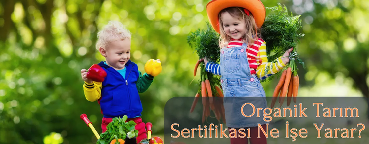 Organik Tarım Sertifikası Ne İşe Yarar?